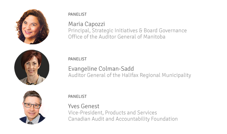 Oversight in the Public Sector – A Webinar on Auditing Board Oversight