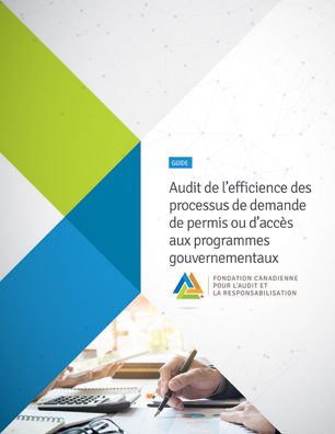 Audit de l'efficience des processus de demande de permis ou d'accès au programmes gouvernementaux