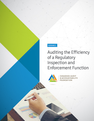 Applied Guide: Auditing the Efficiency of a Regulatory and Enforcement Function