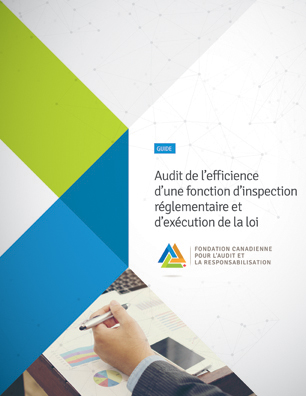 Audit de l'efficience d'une fonction d'inspection réglementaire et d'exécution de la loi