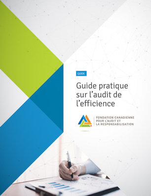 Guide pratique sur l'audit de l’efficience