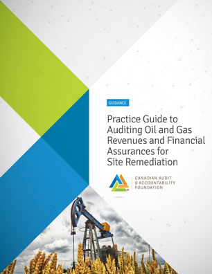 Practice Guide to Auditing Oil & Gas Revenues and Financial Assurances for Site Remediation