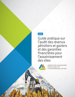 Guide pratique sur l’audit des revenus pétroliers et gaziers et des garanties financières pour l’assainissement des sites