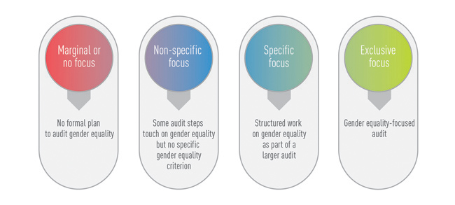 The Spectrum of Audits of Gender Equality