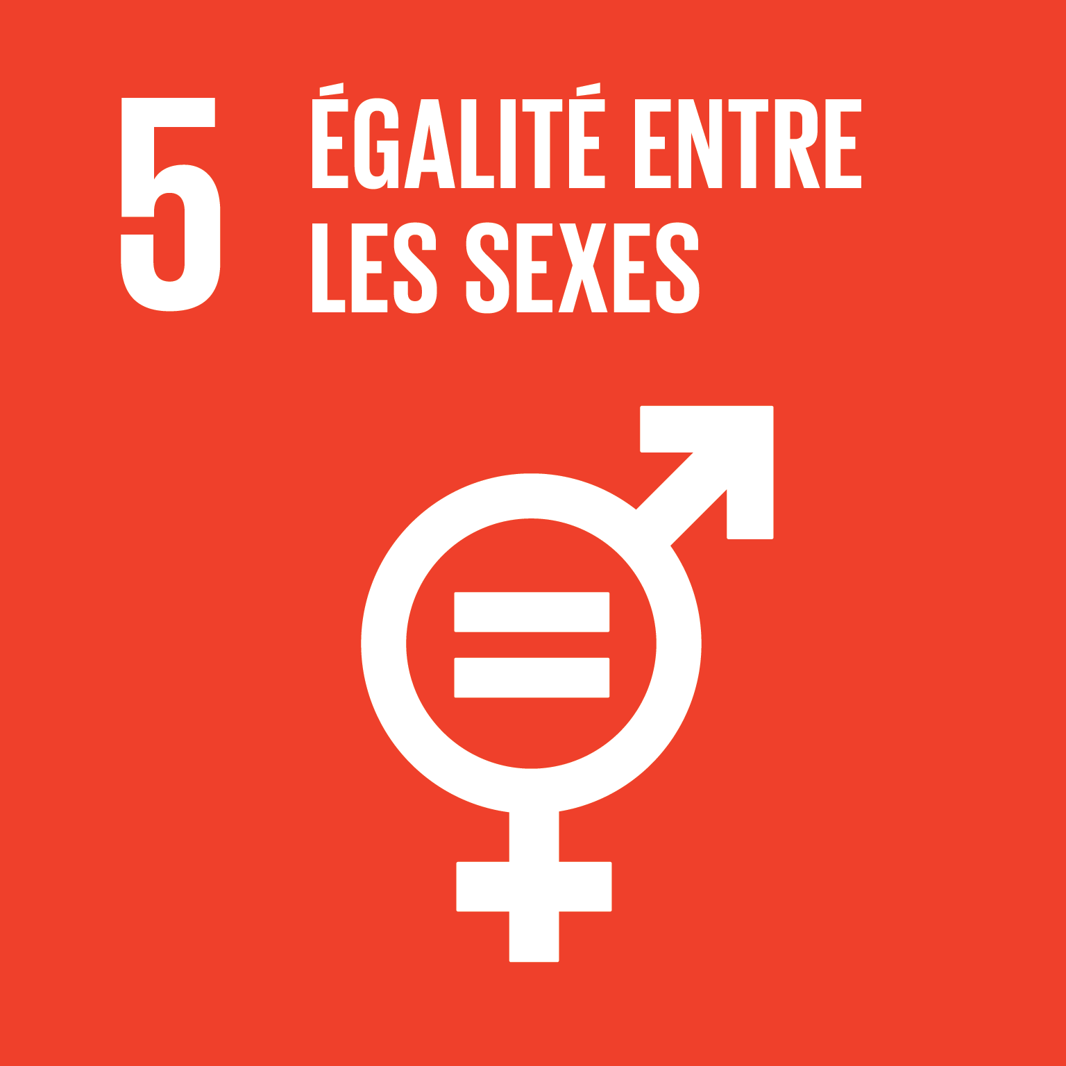 1 3 Supporting Dev Priorites SDG 5 FR