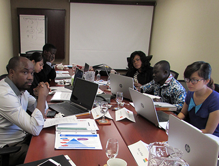 3.3.1 D Fellows at CCAF