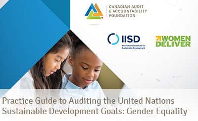Practice Guide to Auditing the United Nations Sustainable Development Goals: Gender Equality