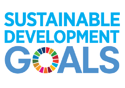 Canada’s Preparedness to Implement the United Nations’ Sustainable Development Goals