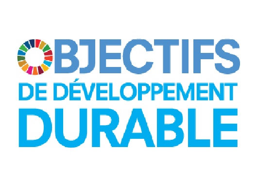 L’état de préparation du Canada pour la mise en œuvre des objectifs de développement durable des Nations Unies