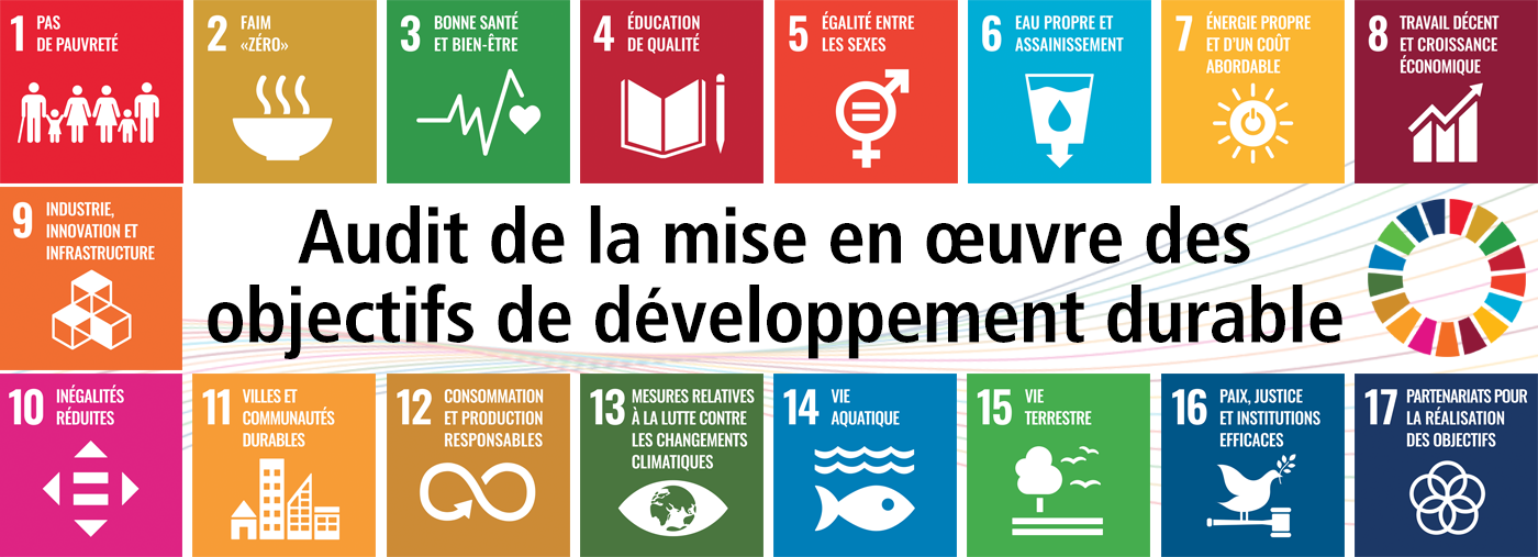 Audit de la mise en œuvre des objectifs de développement durable