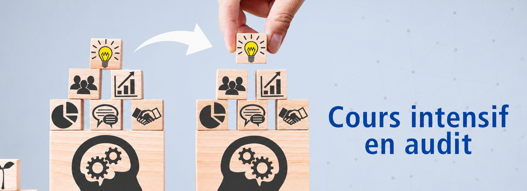Cours intensif en audit