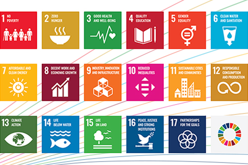 Auditing Implementation of the Sustainable Development Goals