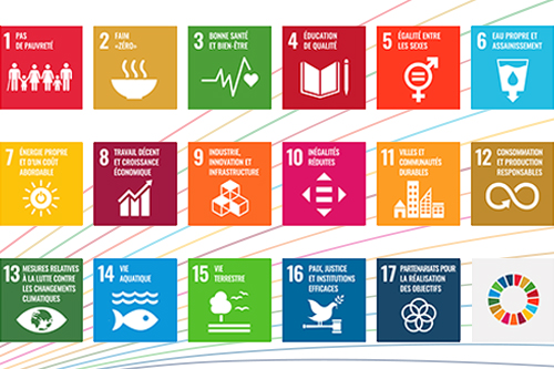 Audit de la mise en œuvre des objectifs de développement durable