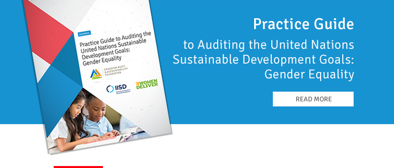 Practice Guide to Auditing the United Nations Sustainable Development ...