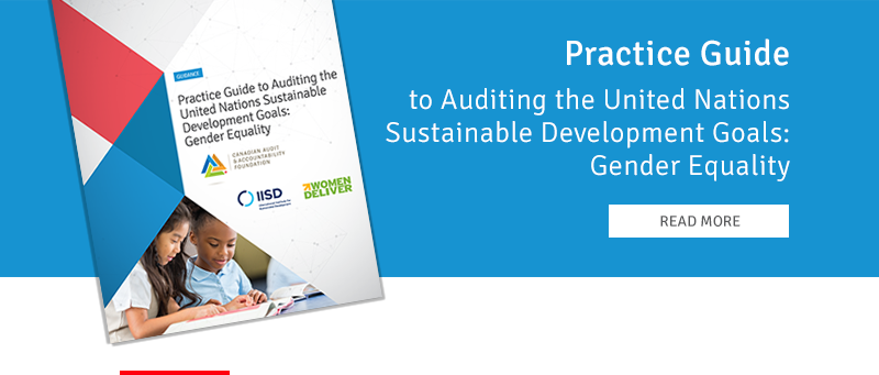 Practice Guide to Auditing the United Nations Sustainable Development Goals: Gender Equality