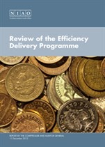 Review of the Efficiency Delivery Programme